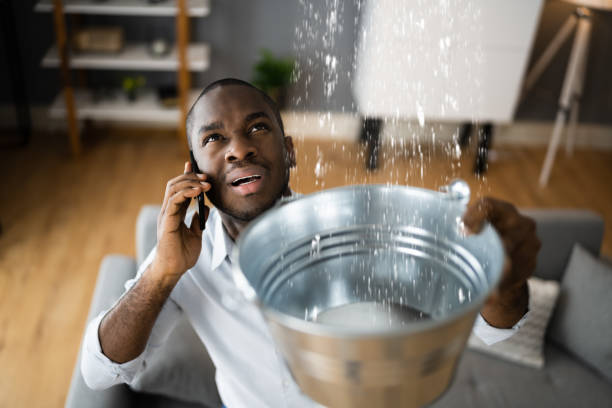Best Flood restoration services  in Lynbrook, NY