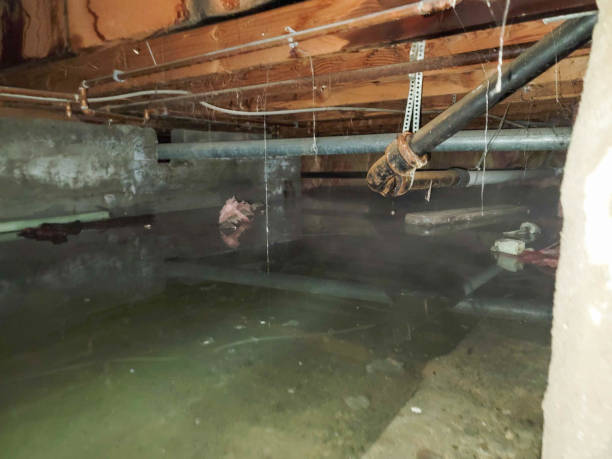 Best 24-hour water damage restoration  in Lynbrook, NY
