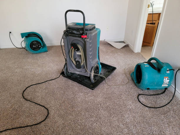 Best Professional water damage repair  in Lynbrook, NY