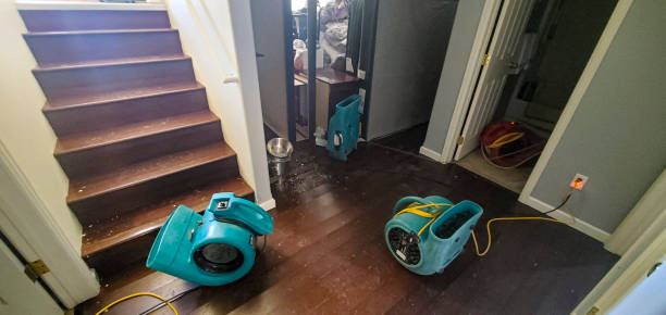 Best Water damage cleanup near me  in Lynbrook, NY