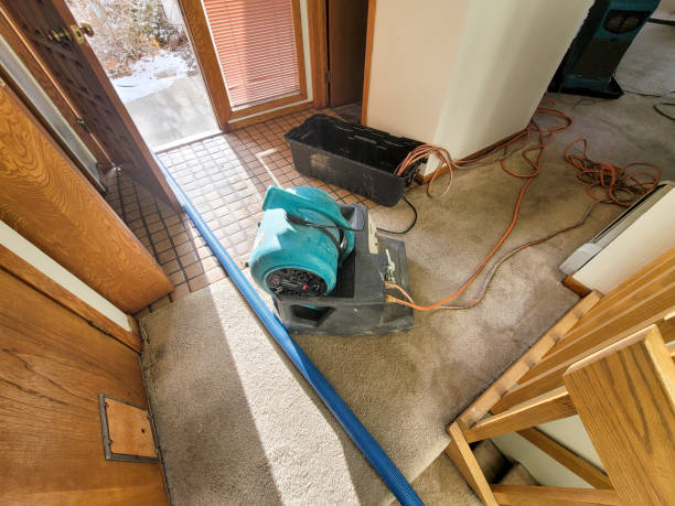 Best Water damage contractors near me  in Lynbrook, NY
