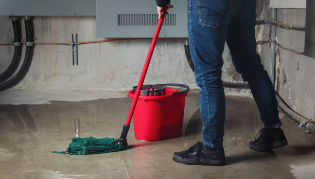 Best Water damage restoration insurance claims  in Lynbrook, NY