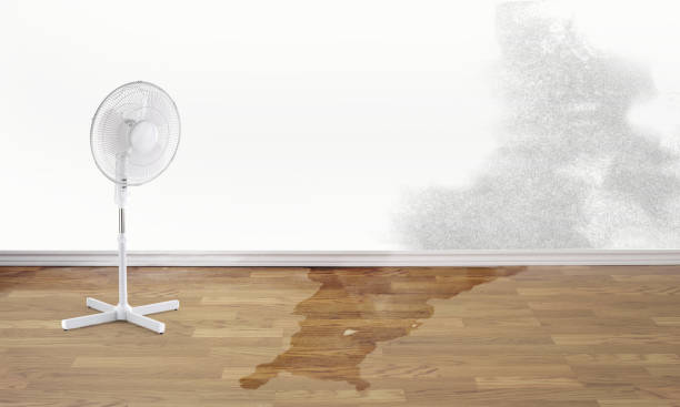  Lynbrook, NY Water damage restoration Pros