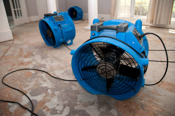 Best Residential water damage restoration  in Lynbrook, NY