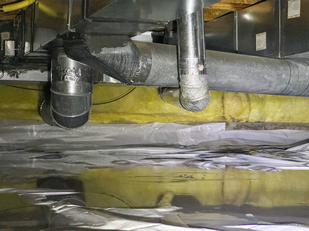 Best Water damage restoration near me  in Lynbrook, NY