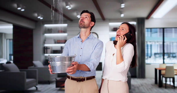 Best Flood damage cleanup  in Lynbrook, NY