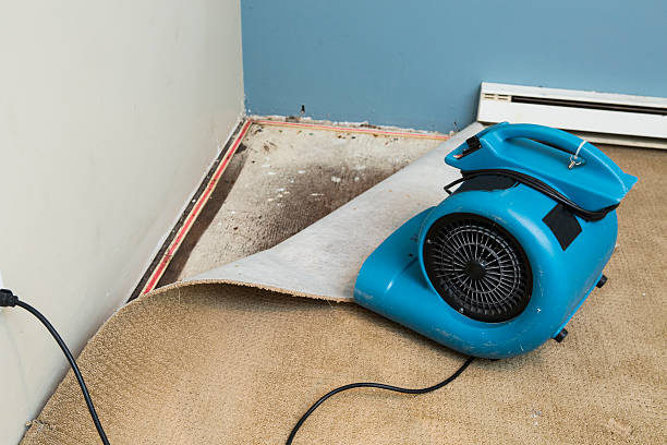 Best Water damage restoration near me  in Lynbrook, NY